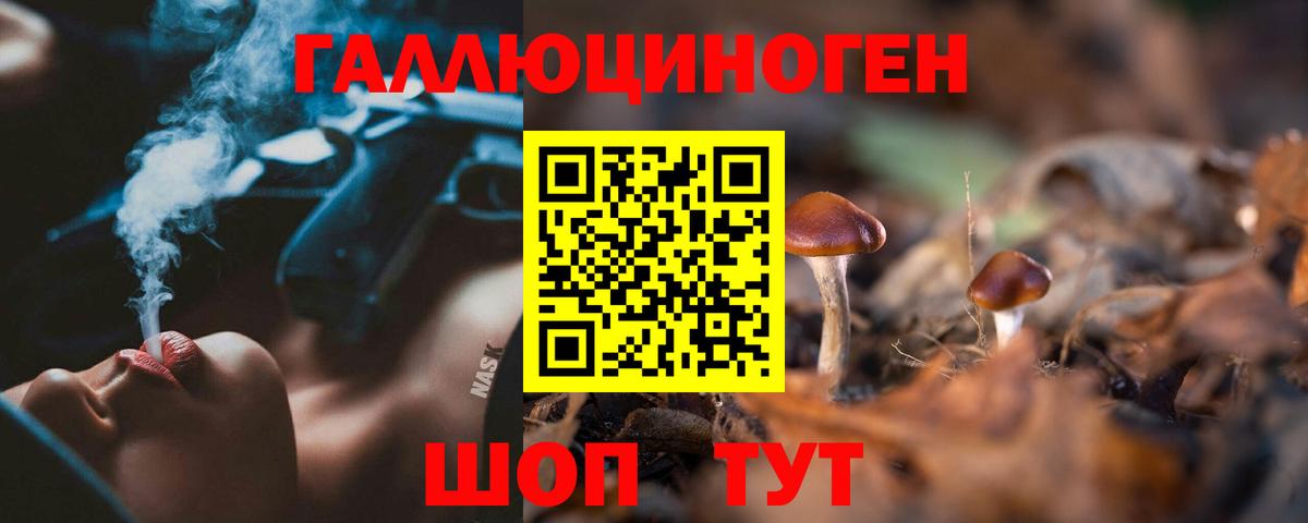 Зеленогорск  Галлюциногенные грибы мицелий  Галлюциногенные грибы мухоморы  Вход с VPN 